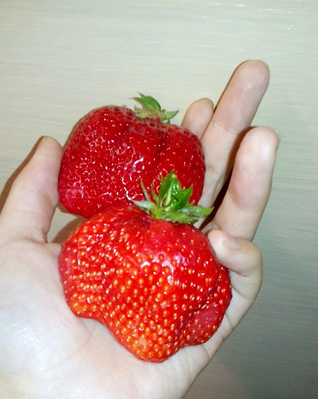 �������I