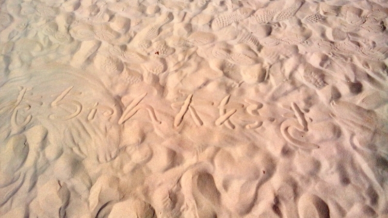 beach.